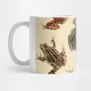 Vintage Frogs Mug